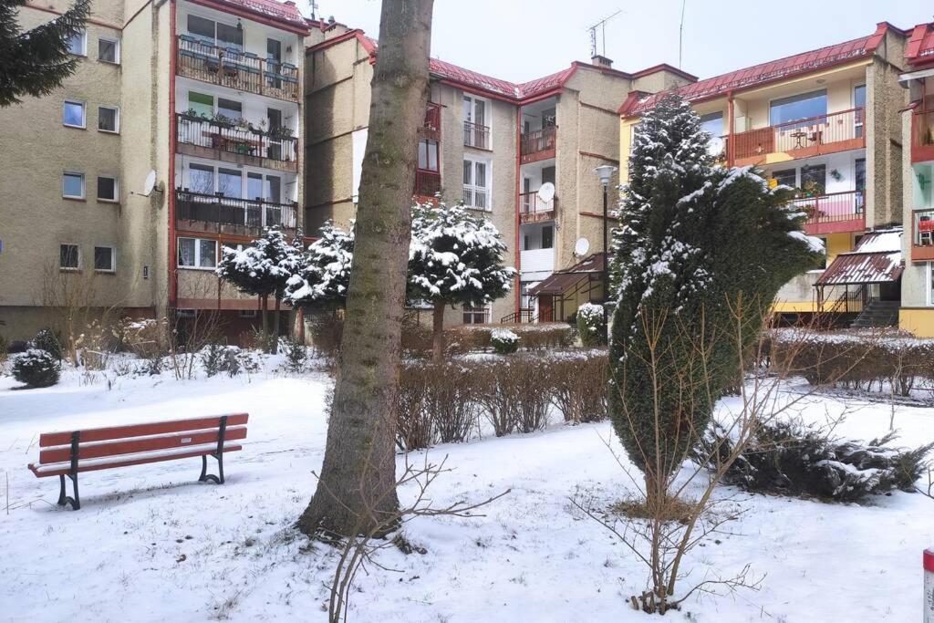 דוז'ניקי ז'דרוז' Apartament Za Rogiem Papierni מראה חיצוני תמונה