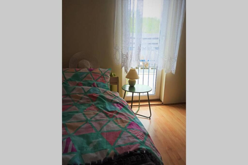 דוז'ניקי ז'דרוז' Apartament Za Rogiem Papierni מראה חיצוני תמונה