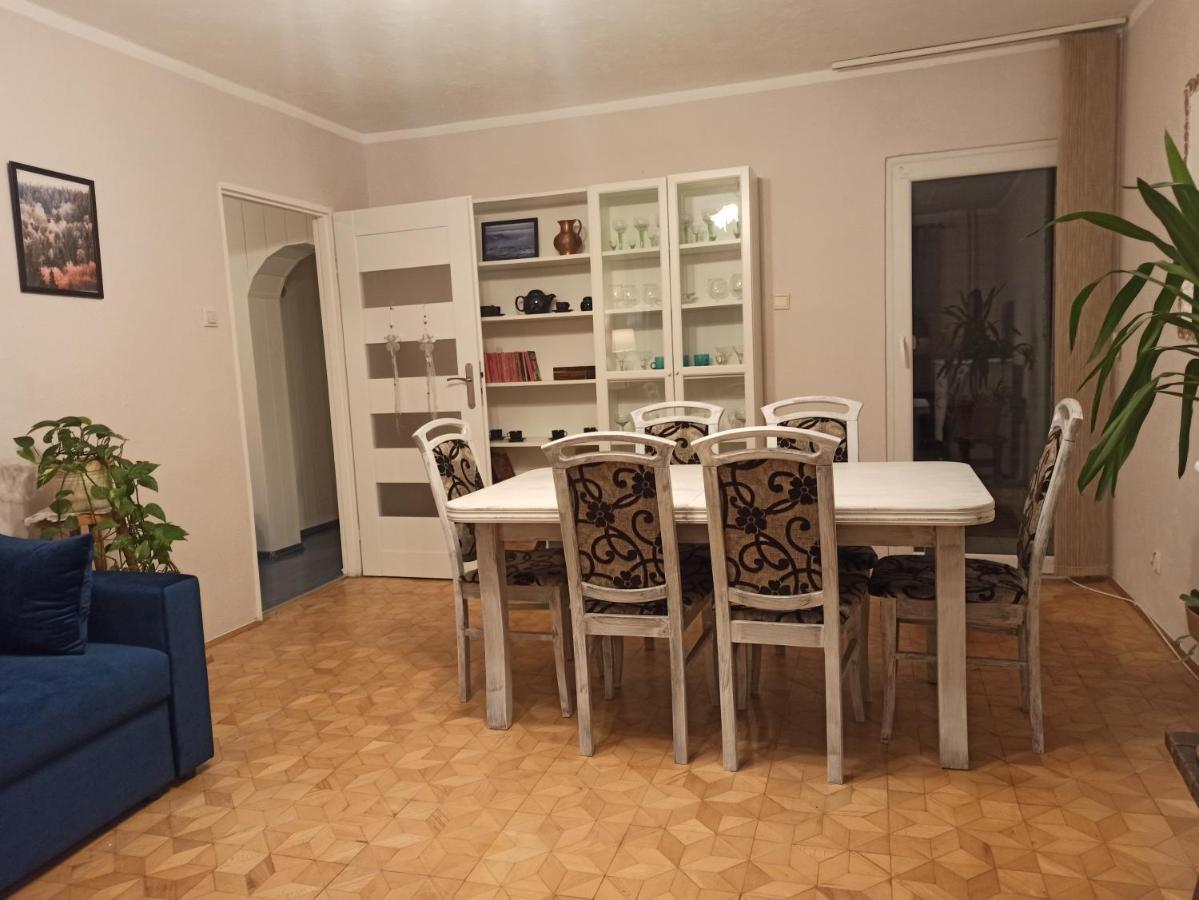 דוז'ניקי ז'דרוז' Apartament Za Rogiem Papierni מראה חיצוני תמונה