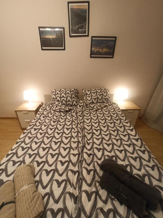 דוז'ניקי ז'דרוז' Apartament Za Rogiem Papierni מראה חיצוני תמונה