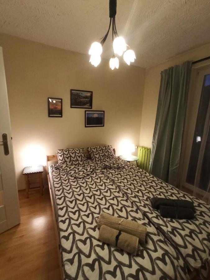 דוז'ניקי ז'דרוז' Apartament Za Rogiem Papierni מראה חיצוני תמונה