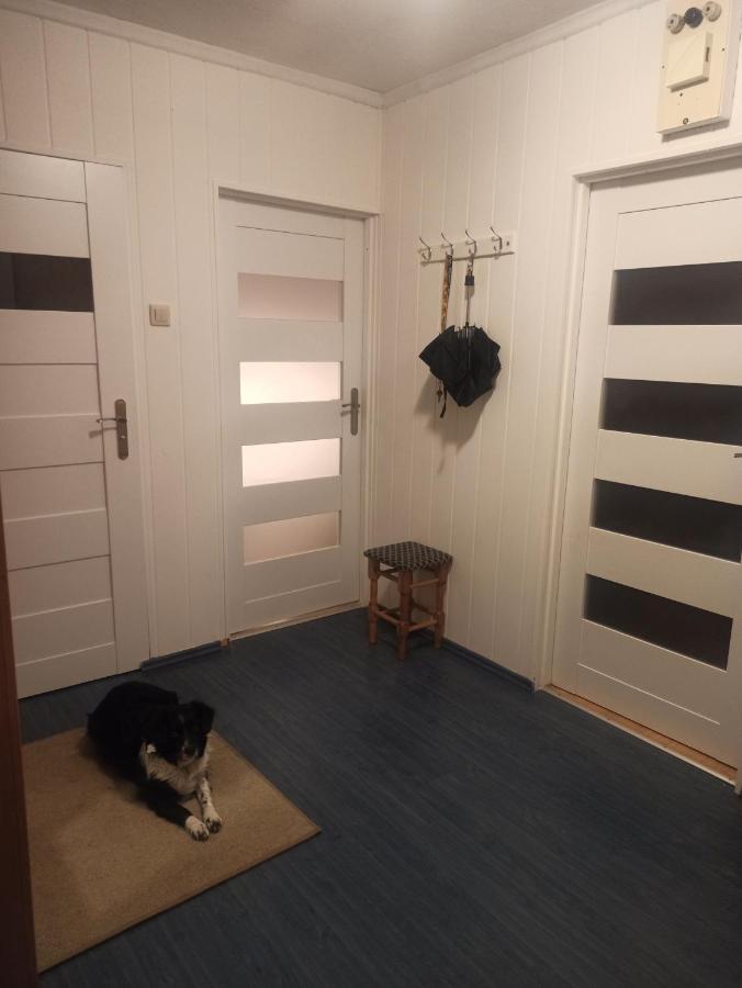 דוז'ניקי ז'דרוז' Apartament Za Rogiem Papierni מראה חיצוני תמונה
